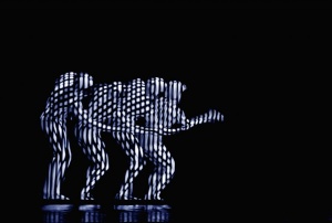 evolution_1