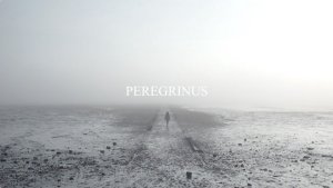 peregrinus_Photo_Credit_Andy Ferreira