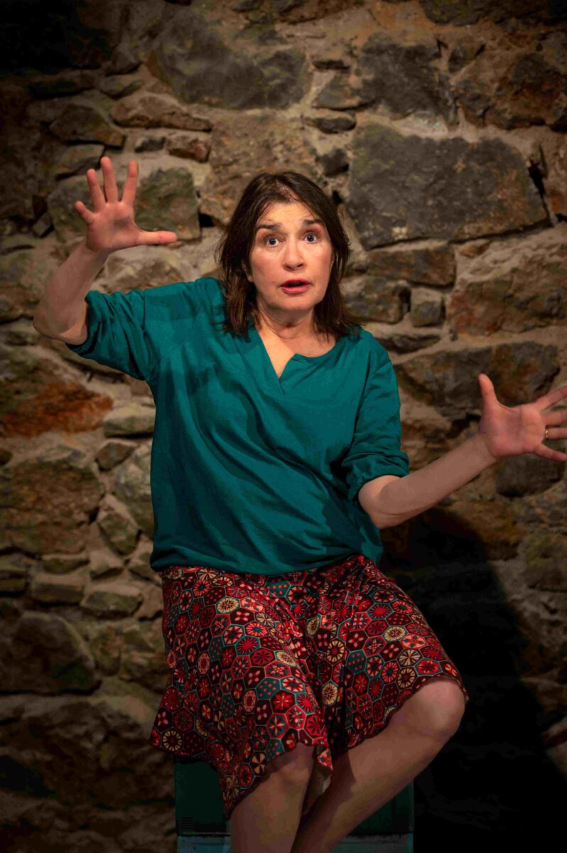 Η Αφηγήτρια Ταινιών.