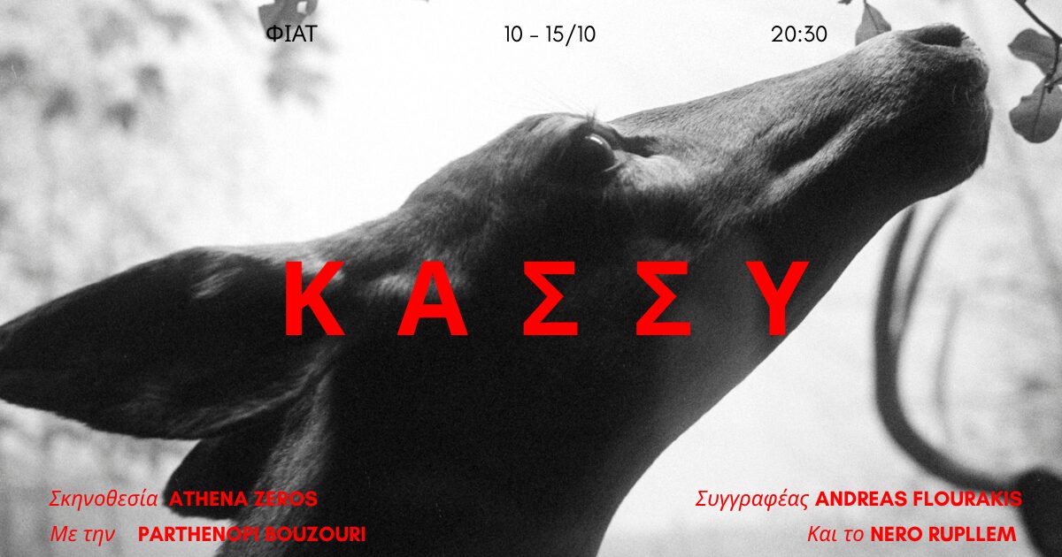 Κάσσυ