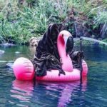 Εικόνα προφίλ του/της μιχάλης